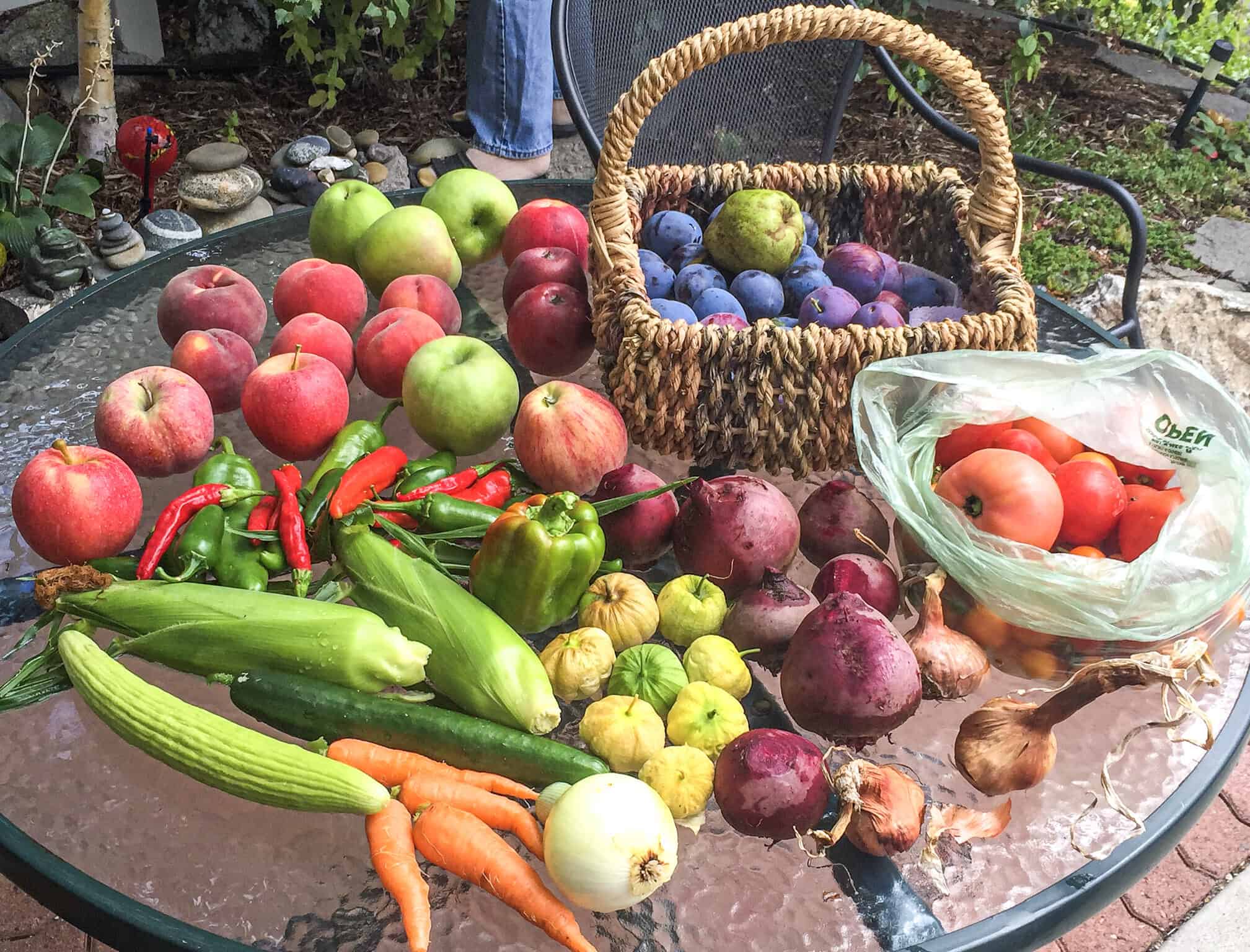 assortment-of-fruits-and-vegetables-from-the-community-garden-spread-out-on-a-table