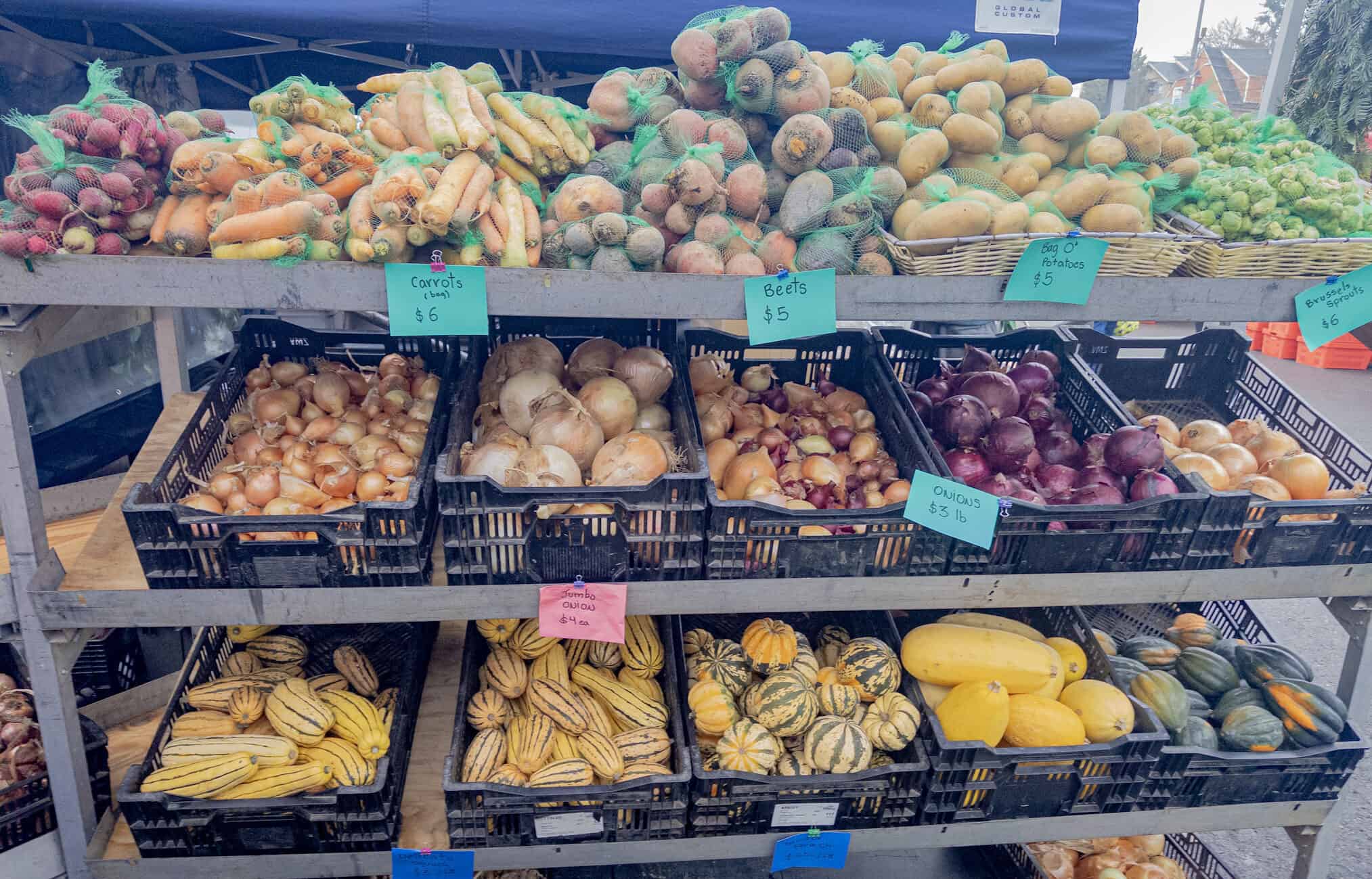 winter-vegetables-in-farmers-market-bins