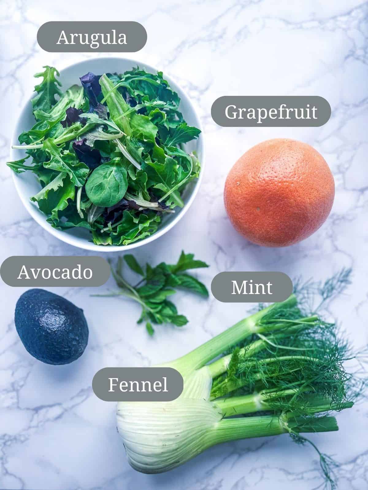 ingredients-avocado-grapefruit-arugula-mint-fennel