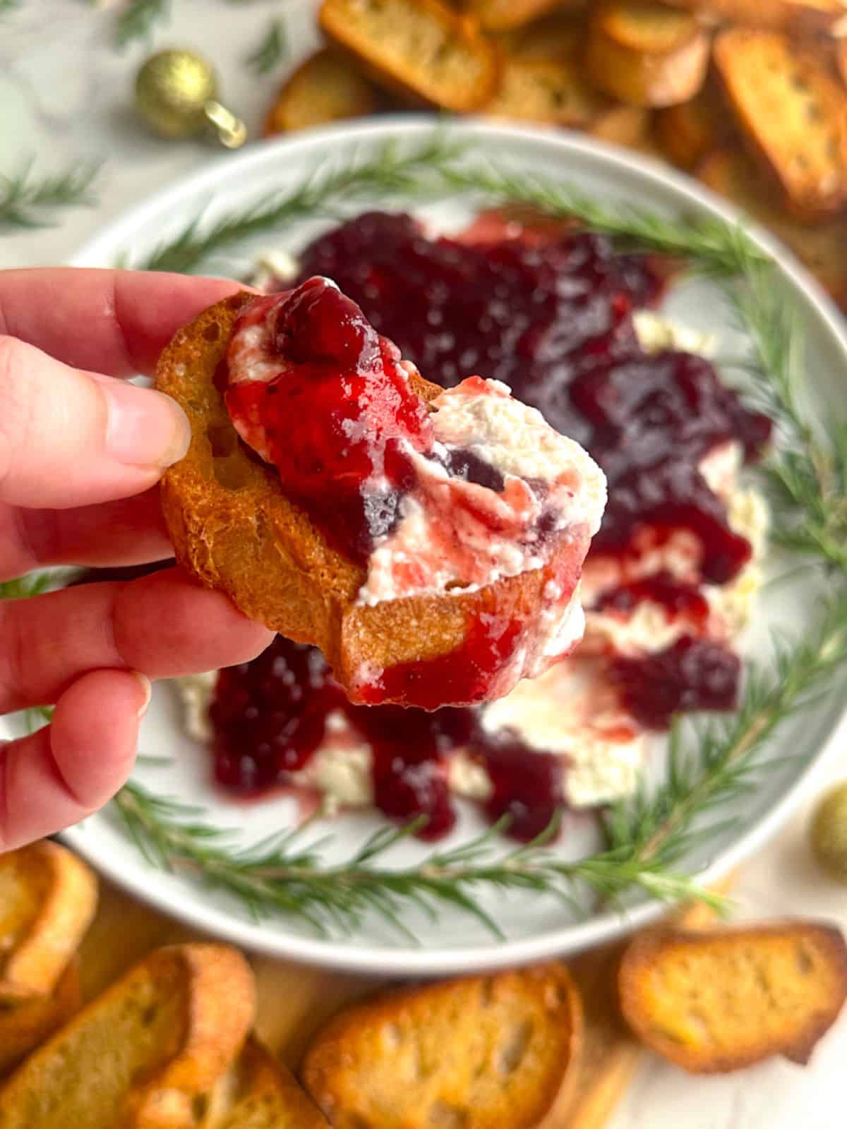 A hand holding crostini with whipped feta cranberry dip and plate with dip and crostini in the background.