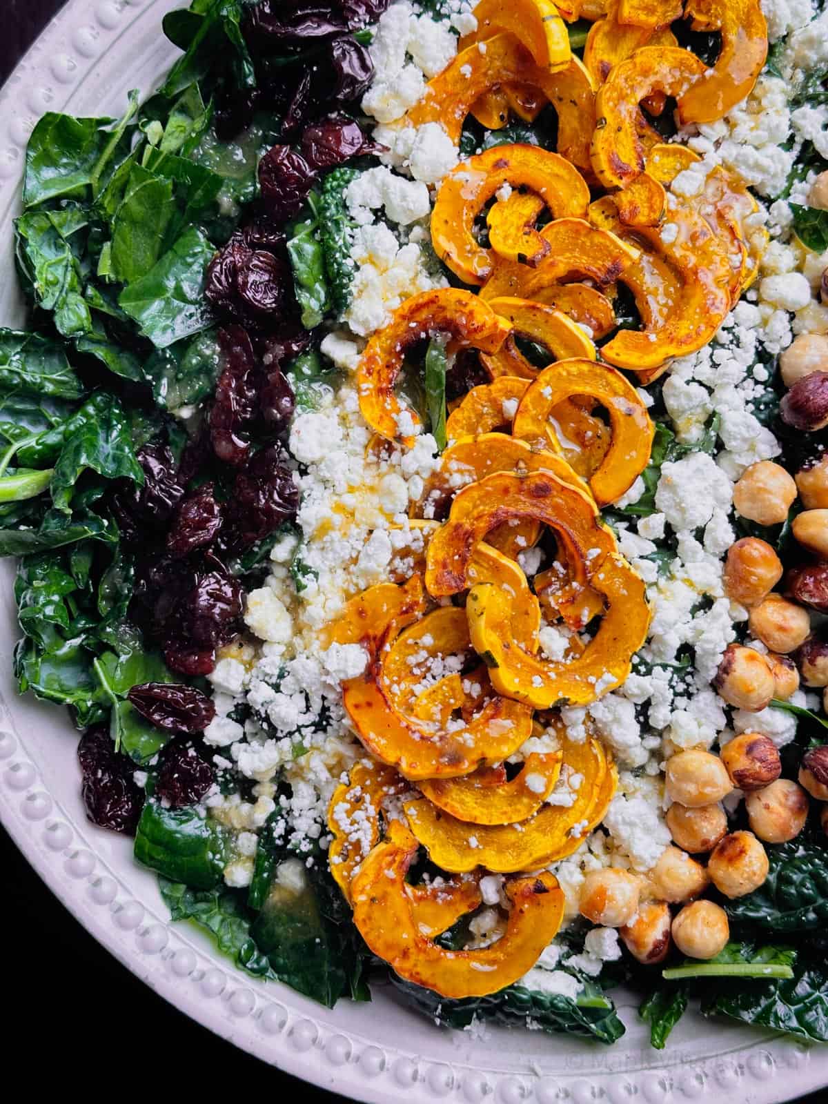 Roasted Delicata squash salad with kale, crumbled goat cheese, candied hazelnuts, and dried cranberries.