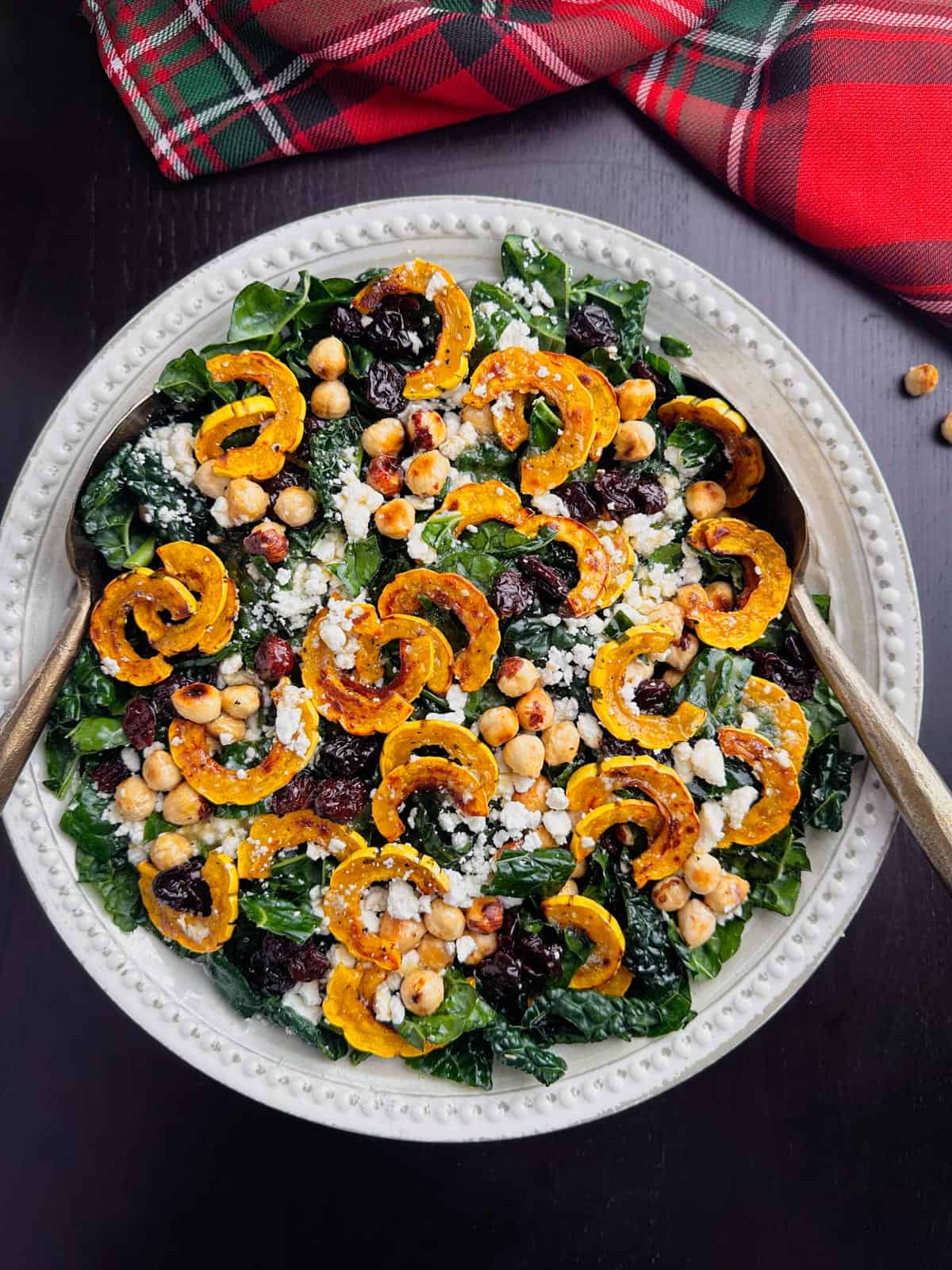 Kale salad with roasted Delicata squash slices, toasted hazelnuts, dried cherries, and crumbled goat cheese.