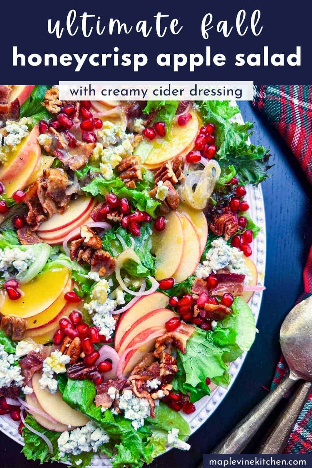 Sweet fall honeycrisp apple salad with creamy cider dressing, pecans, blue cheese, bacon, and pomegranate arils.
